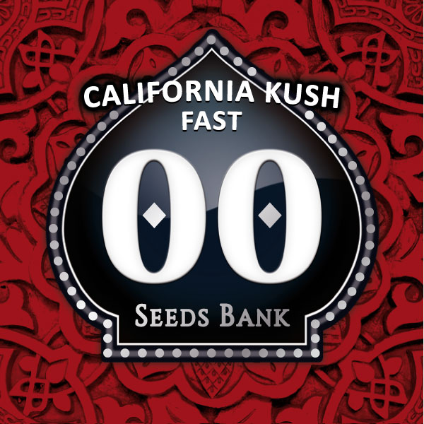 California Kush Fast - 00 Seeds